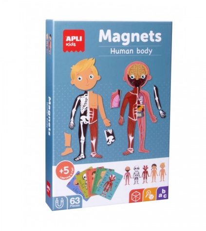 Μαγνητικό παιχνίδι "Ανθρώπινο σώμα" από την Apli Kids. Διασκεδαστικό και εκπαιδευτικό μαγνητικό παιχνίδι.